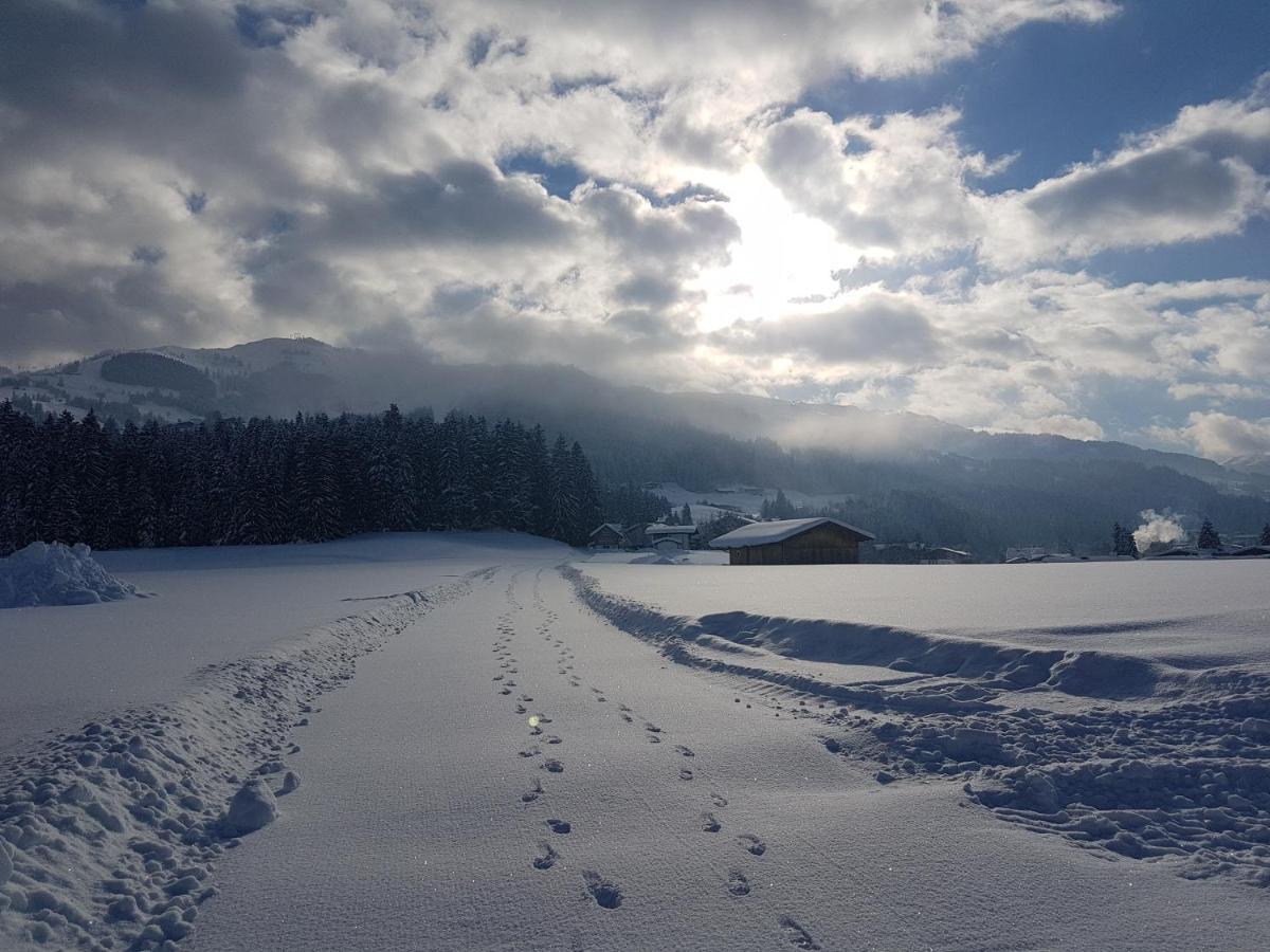 Fruehstueckspension Tannenhof Kirchberg in Tirol Exteriör bild